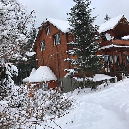 Cottage 12 Months Ворохта Екстериор снимка