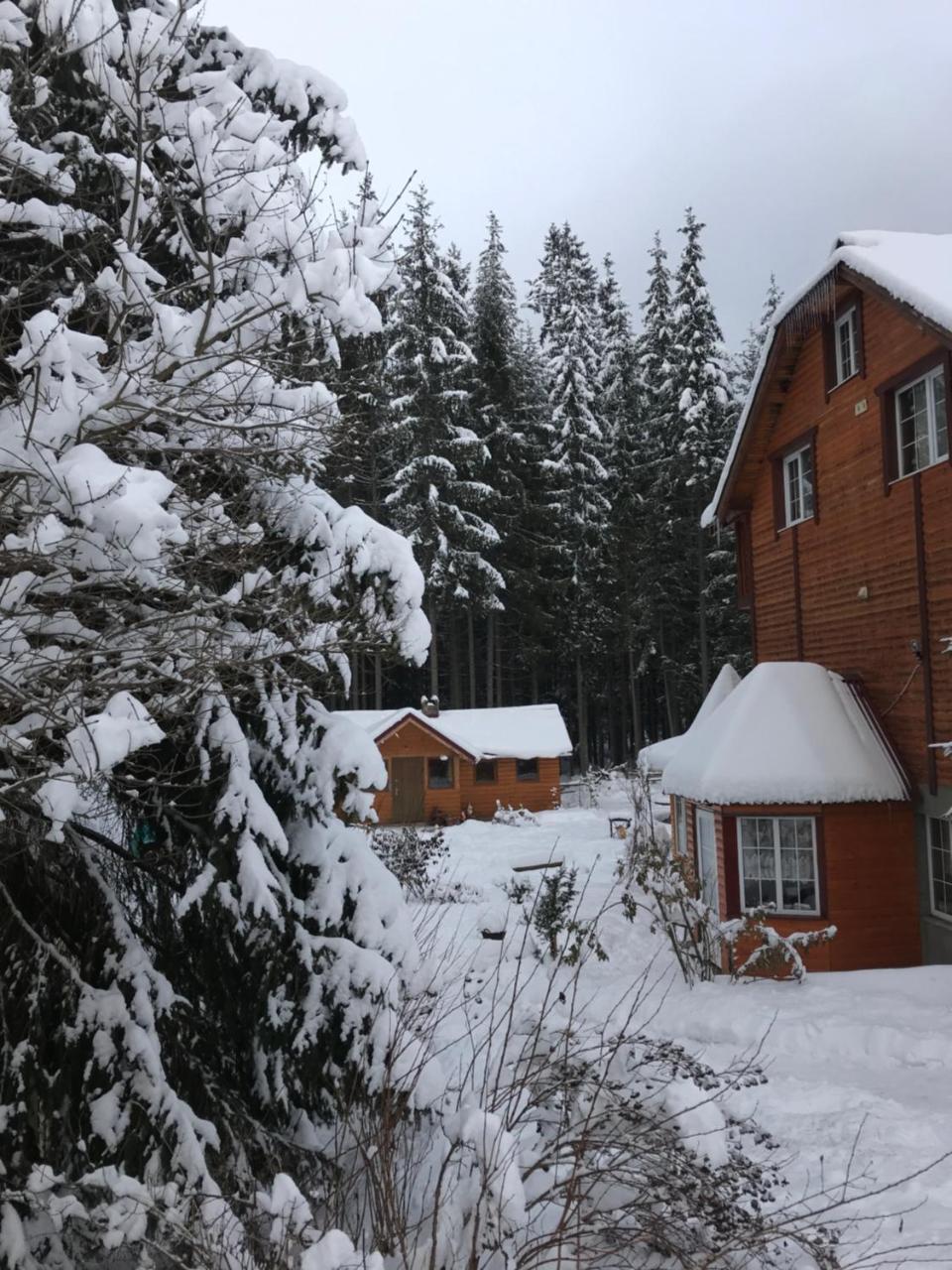 Cottage 12 Months Ворохта Екстериор снимка