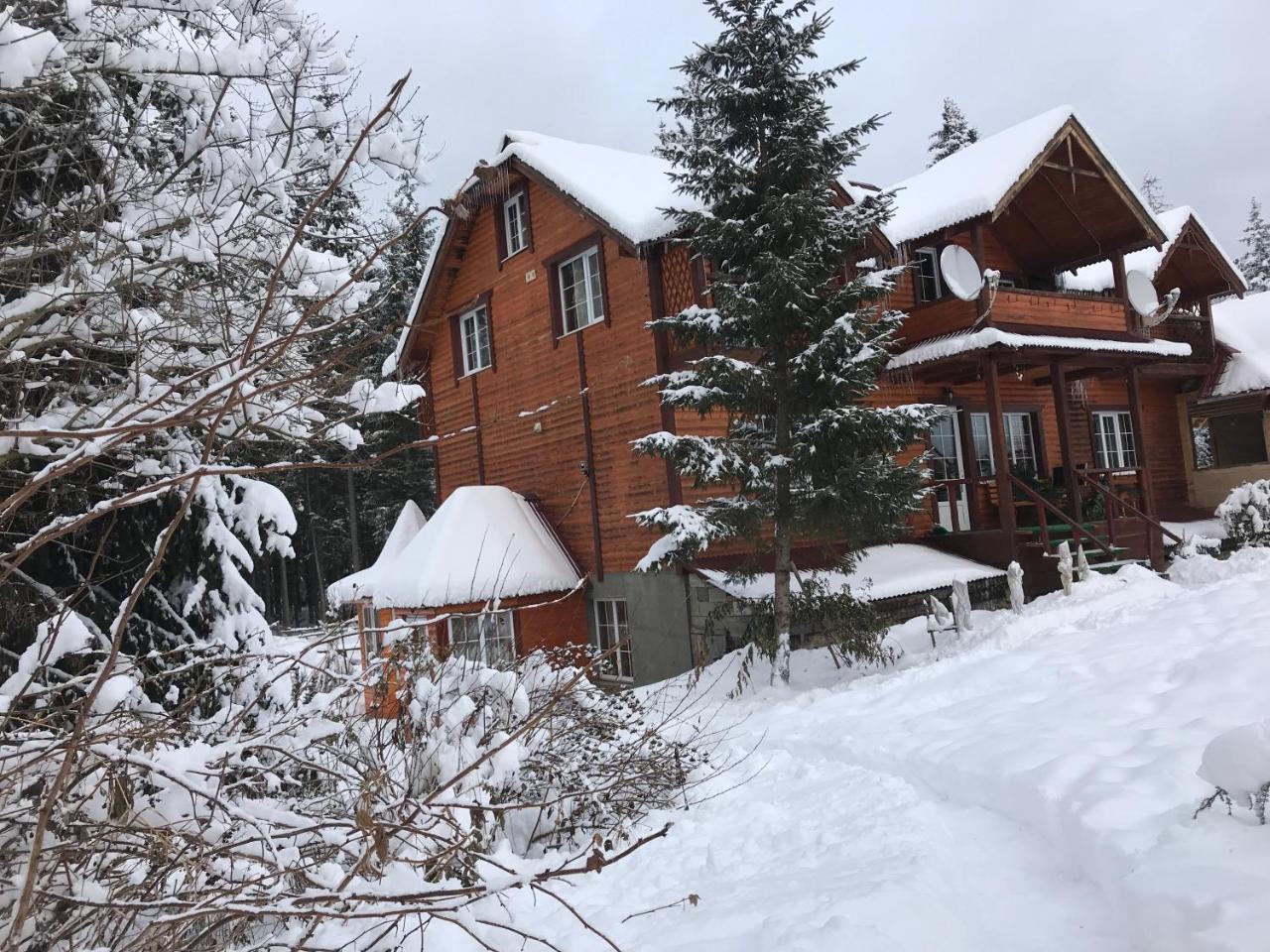 Cottage 12 Months Ворохта Екстериор снимка